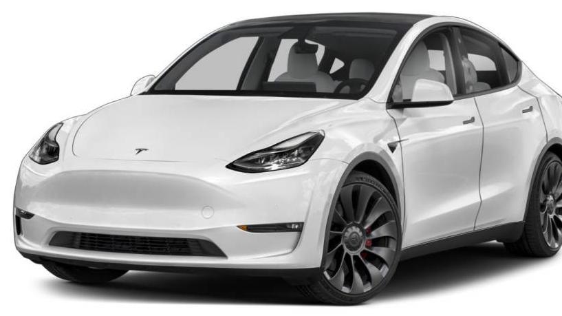 TESLA MODEL Y 2021 5YJYGDEE1MF065697 image